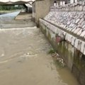 Krvava reka u Novom Pazaru Jezivi prizori sa Raške, na lice mesta stigla policija i veterinarska inspekcija