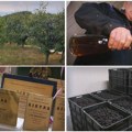 "Unuka završila fakultet i vratila se na selo da radi sa mnom": Porodica Minić nastavila tradiciju svojih predaka
