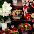 Kako je propao švajcarski "Kralj orhideja": Kupce obavestio putem mejla, podelio otkaze, planira rasprodaju