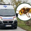 Jezivo: Zaječarcu kroz kacigu uleteo stršljen! Ubo ga za nozdrvu, jedva je preživeo: Greška koju je napravio bila je kobna…