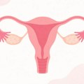 Jajnici dobijaju izuzetno važnu drugu ulogu nakon menopauze