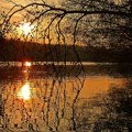 Od sutra ponovo sunčano u Novom Sadu