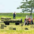 Srbija ima višak pšenice, kukuruza i suncokreta