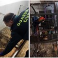 U ilegalnoj odgajivačnici pronađeno 250 leševa i 171 živa životinja
