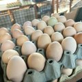 Baba prodavala jaja iz prodavnice kao domaća: Na kakve sve podvale se može naići na pijacama