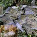 Policija u Obrenovcu na divljoj deponiji zaplenila oko 30 kilograma marihuane