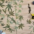 Policija upala u kuću Britanca u Danilovgradu: Kada ih je ugledao, pokušao da pobegne