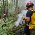 Jančić: Zbog visokih temperatura veća opasnost od šumskih požara