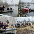 VATROGASCI odneli hranu životinjama na Krčedinskoj adi: Čamcima preneli seno i nahranili 130 grla konja i krava! (foto)