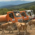 Nastavljaju se hitne mere za obezbeđivanja pijaće vode na Suvoj planini