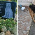 Uginuo najdraži pas sa ulica Beograda! Komšije se udružile da učine nešto prelepo: "Dule je ovo zaslužio"