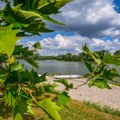 Leto na Tisi kod Kanjiže - uređena plaža i termalni bazeni