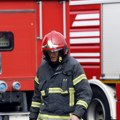 Izbio požar kod Vlasotinca, zahvaćeno oko tri hektara borove šume