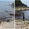 Ekološka katasrofa na Jadranu Sumnja se da je cisterna izlila naftu kod Hrvatske (foto/video)