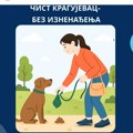 Zašto je važno da se čisti za kućnim ljubimcima: Rešenje u povećanju kazni