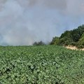 Požari ne miruju, gori kod Pečenjevca, Kaštavara i Bogojevca