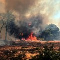 Najgora sezona požara u istoriji EU! Izgorelo više od milion hektara zemlje! Stradao veliki broj ljudi, a tu nije kraj…