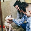 „Starateljstvo“ nad ljubimcem: Kako raskid utiče na one koji ne govore