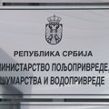 Više od 20 udruženja za zaštitu životinja pozvalo Ministarstvo da povuče Nacrt zakona o dobrobiti životinja iz procedure