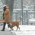 Da li baba marta donosi sneg: Za nama najtopliji februar u istoriji, ali zimu ne treba otpisati! Ovog datuma stiže zahlađenje