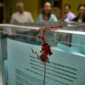 Beograd bira na 1.265 biračkih mesta, odredila GIK, 85 više nego na izborima 2023.