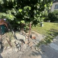 "Puklo je kao bomba" Jeziva nesreća u Čačku: Probio betonski zid, razvalio ogradu i banderu! Vozač BMW u bekstvu