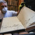 Najezda buba preti da uništi oko 100.000 ručno povezanih knjiga u najstarijoj biblioteci u Mađarskoj