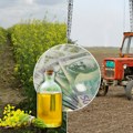 Ова ратарска култура је отпорнија него било која друга Војвођански ратари задовољни ценом, а биће посејано више него лане од…