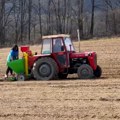 Zašto se u Srbiji smanjuje proizvodnja krompira?