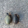 Juče u Kragujevcu uništene dve neeksplodirane bombe