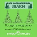 Велика зелена акција у среду: Новогодишње јелке се враћају у природу!