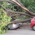 Vetar napravio haos Na Čukarici padalo drveće, oštećeni automobili (foto)