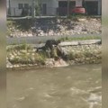 Krvava reka u Novom Pazaru: Jeziv prizor sa Raške, policija odmah izašla na teren - evo na šta se sumnja