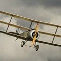 NAJAVA: Avio i tretmani sa zemlje 22. maj: Čenta, Farkaždin, Perlez, Knićanin, Orlovat, Tomaševac, Botoš i Banatski…
