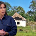 Rođak pretukao babu ubice u Obrenovcu?! Najnovije informacije svirepog zločina: "Osumnjičeni koristio narkotike, zbog 20 ari…