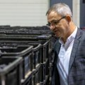 Šljiva je simbol Srbije, a Osečina njeno srce