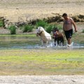 Dunav u Srbiji u blagom porastu, u Hrvatskoj jedna reka na četiri centimetra