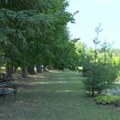 Botanička bašta u Kragujevcu: Zeleno utočište od letnjih vrućina