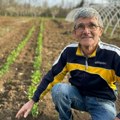 Slavko iz Čačka već posejao grašak, luk i krompir: Rano proleće izmamilo je poljoprivrednike u bašte (foto)