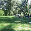 OPREZ! Veći broj krpelja nego ranijih godina