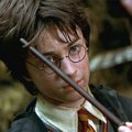 Meta AI model može da kopira polovinu Harry Potter knjiga