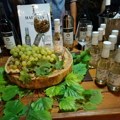 Počeo 39. Vinski bal, manifestacija u slavu grožđa i vina
