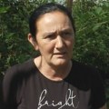 Radosavljevići iz Kotraže voće umesto pod otvorenim nebom sada uzgajaju u plastenicima: To je pun pogodak