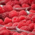Strane maline se prodaju pod etiketom srpskog porekla: Da li je profit pojedinaca važniji od nacionalnog brenda?