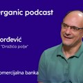 Od semena do trpeze, bez hemije: Kako je jedna porodica iz Ljiga od stare sorte kukuruza napravila uspešan biznis (video)