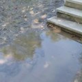 Dok se Evropa bori sa sušom, voda u Kragujevcu izbija iz asfalta (VIDEO)