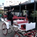 Почели јубиларни 60. Мокрањчеви дани
