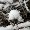 Meteorolozi najavljuju sneg