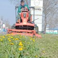 Zelenilo: Nastavlja se košenje trave, čišćenje i uređivanje travnjaka u Novom Sadu