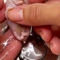 Devojka pronašla tek rođenu životinjicu u dvorištu Kad je porasla, svi su bili šokirani (video)